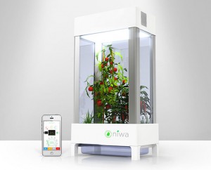 Niwa, le jardin connecté